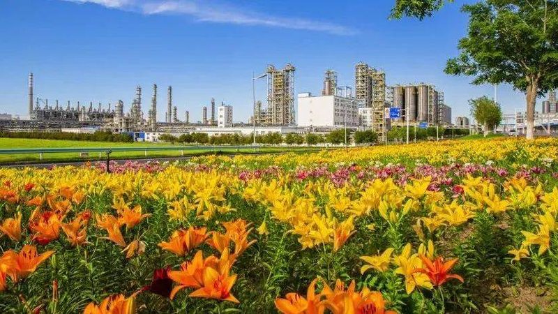 发酵用有机硅消泡剂：参数解析与应用要点